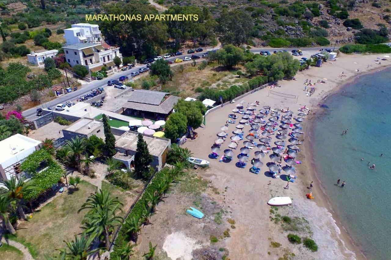 Apartment With Sea View And Balcony 60M From Beach Aegina Eksteriør billede